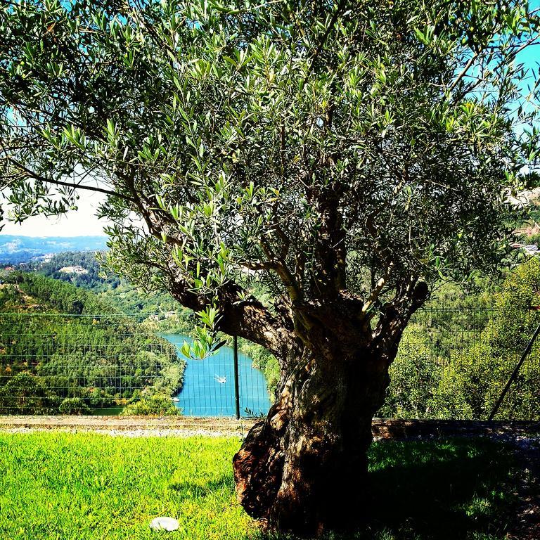 Quinta Das Tilias Douro Valley Cabaca Eksteriør billede